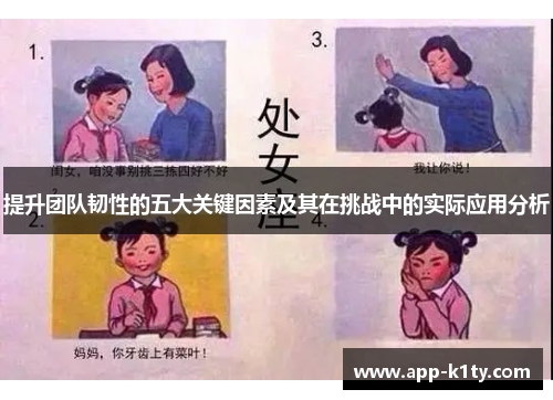 提升团队韧性的五大关键因素及其在挑战中的实际应用分析