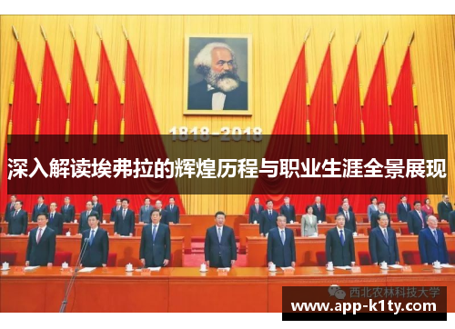 深入解读埃弗拉的辉煌历程与职业生涯全景展现